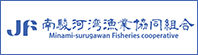 南駿河湾魚業協働組合