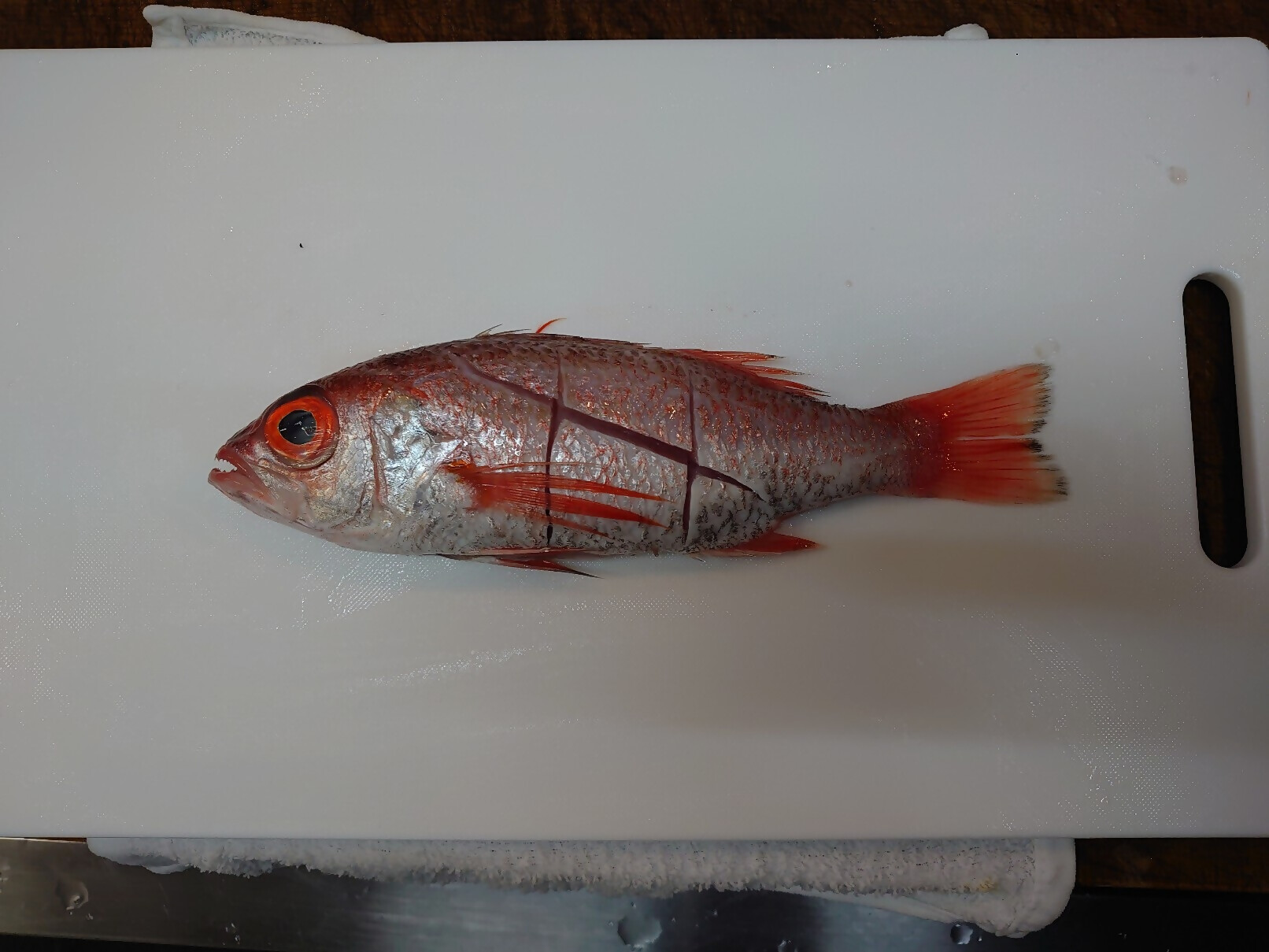 ①アカムツに切り込みを入れる