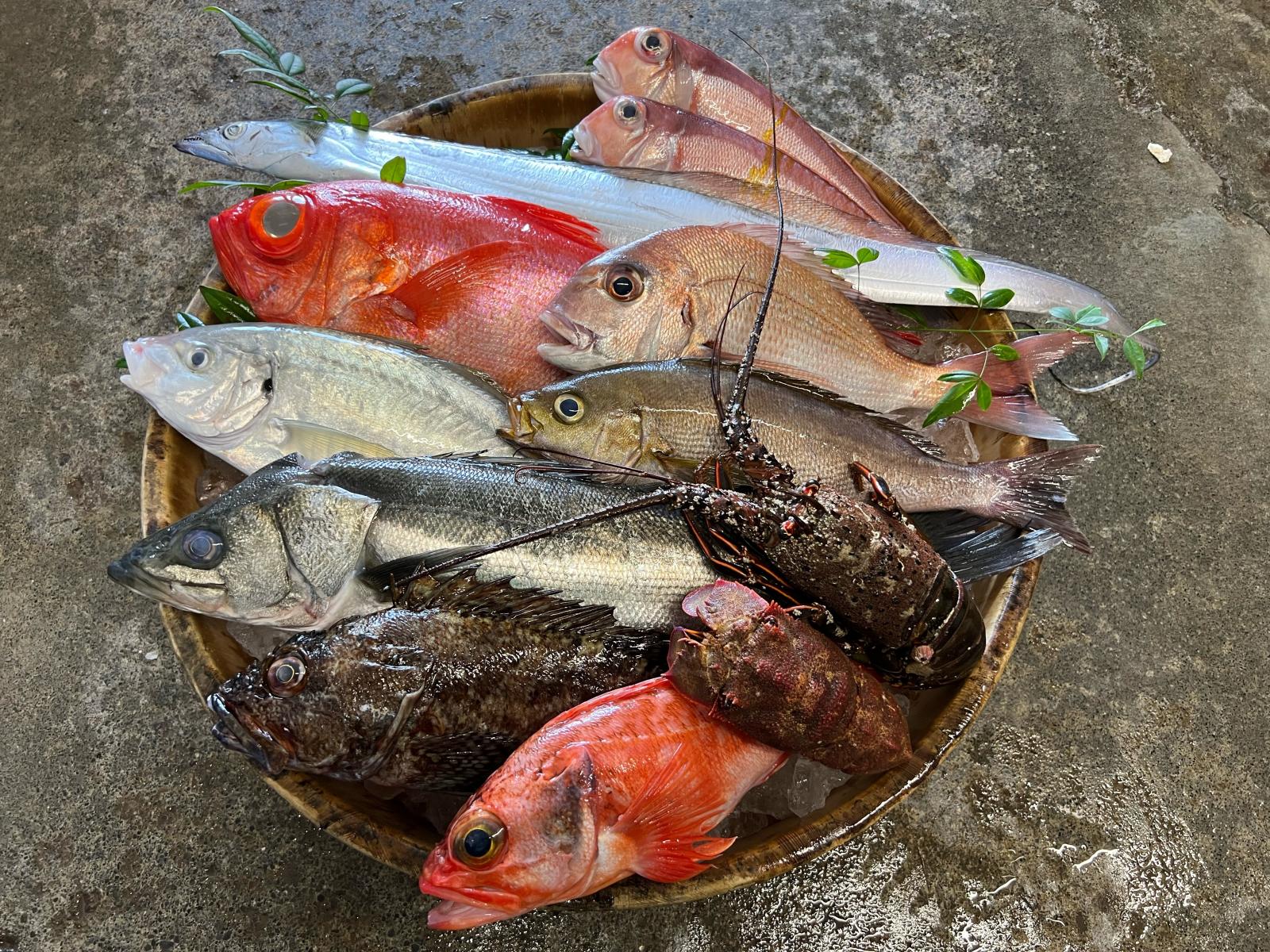 地魚