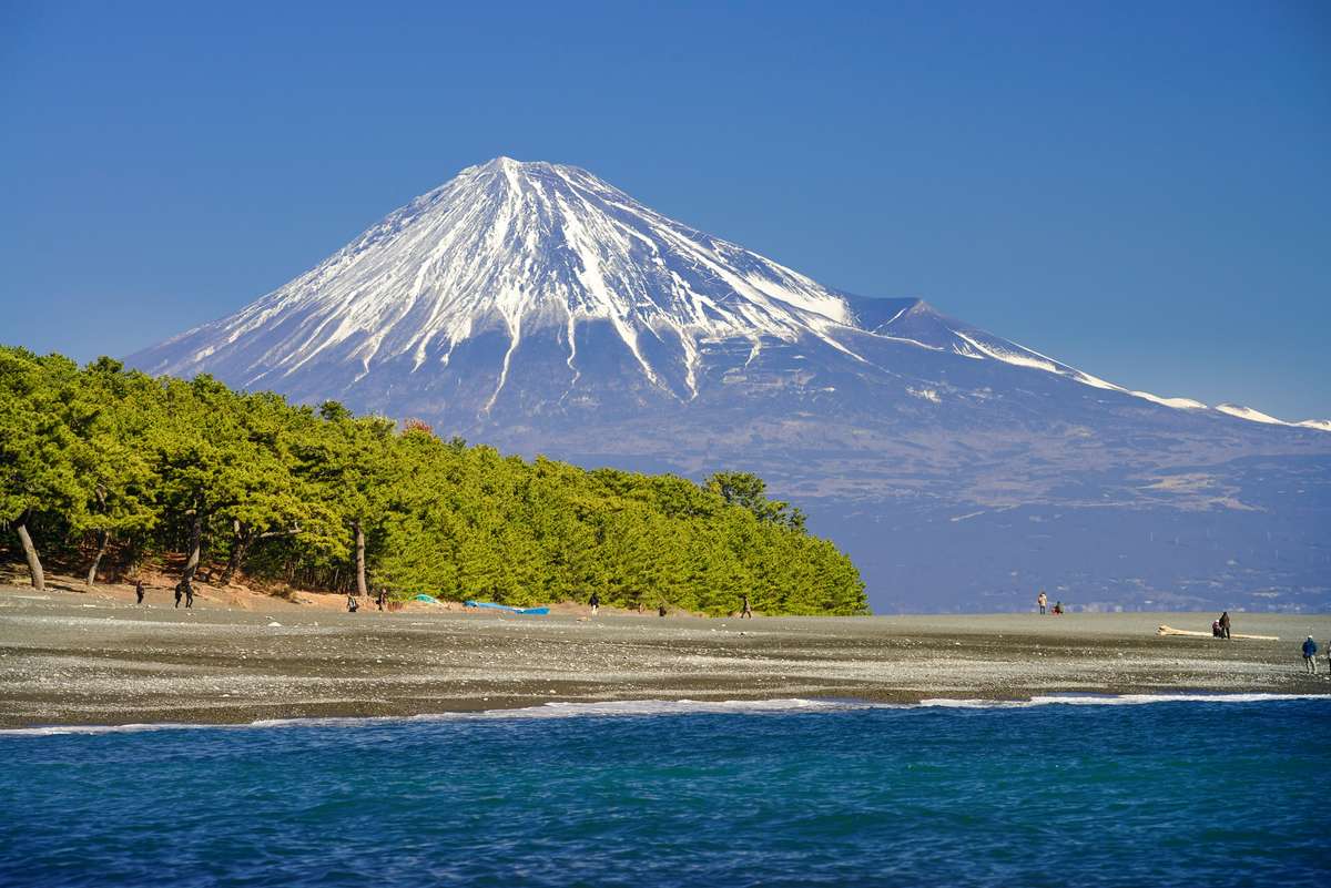 富士山ビューと駿河湾海の幸、ダブルで満喫の旅～ 富士山堪能コース ...