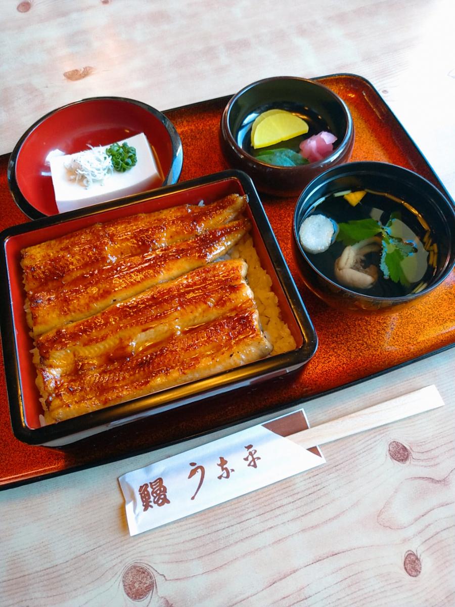 国産うな重(松)