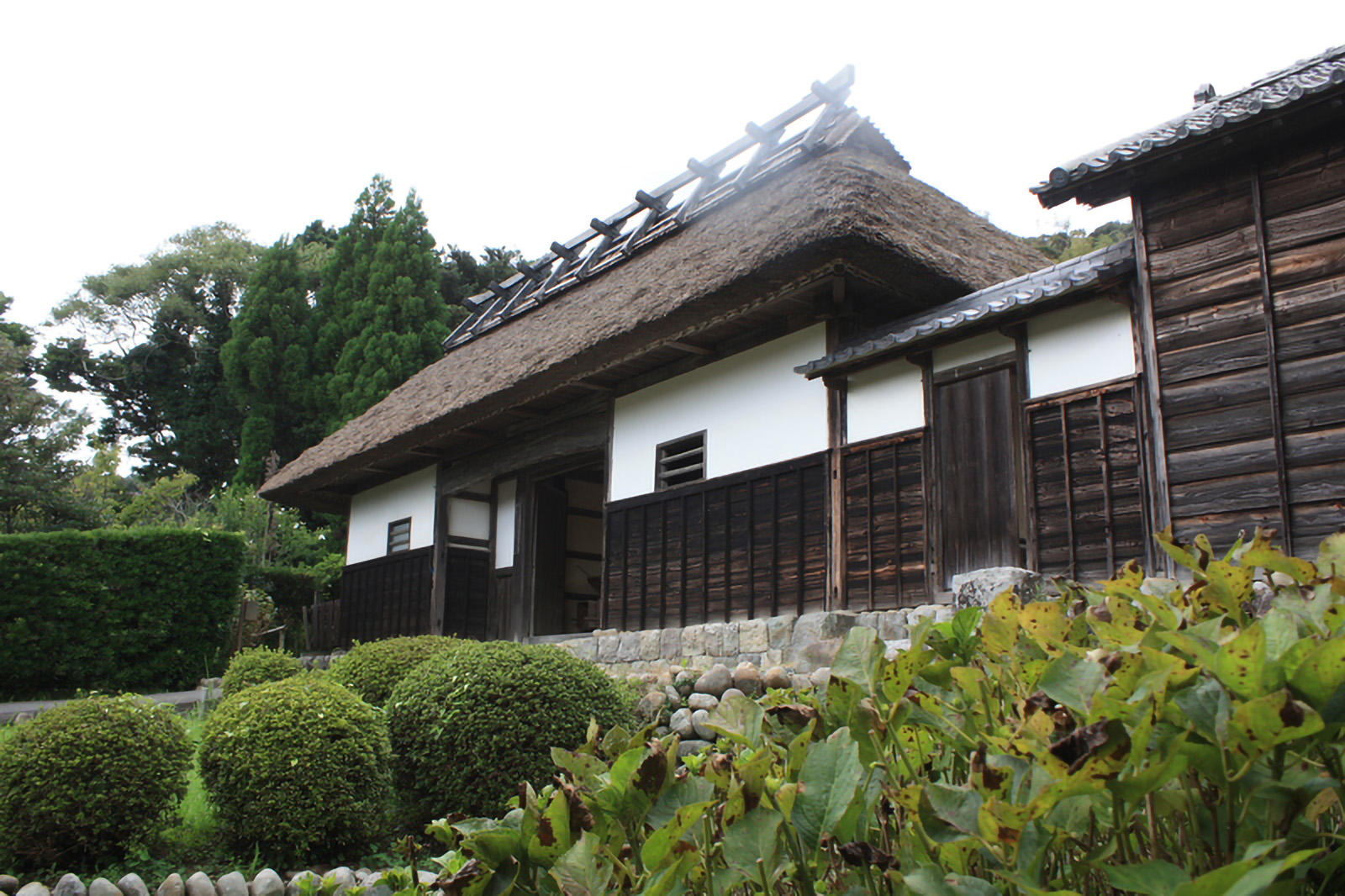 大鐘家